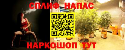 прущие грибы Конаково