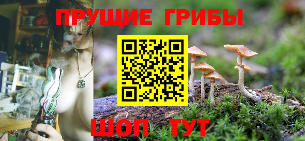 Шали  купить наркоту  Псилоцибиновые грибы MAGIC MUSHROOMS  Вход с VPN  Галлюциногенные грибы GOLDEN TEACHER 