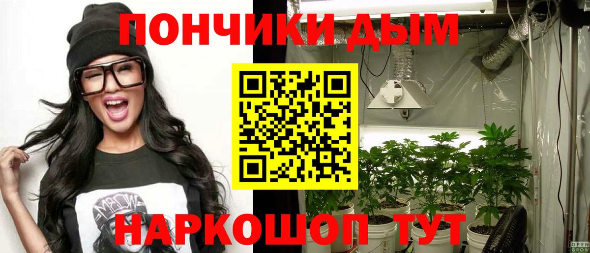 Бошки Шишки планчик  Каннабис план  Шали  МАРИХУАНА Amnesia  Вход с VPN 
